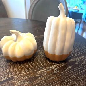 Ceramic Neutral Pumpkins x2 Target Bullseye Playground